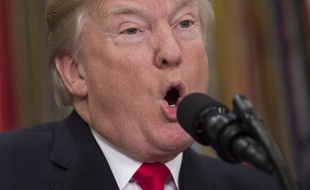 Le président américain Donald Trump.