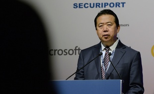 Meng Hongwei, ancien president d'Interpol, le 4 juillet 2017 à Singapour.