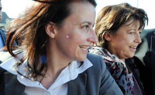 Des départs ont été constatés chez Europe Ecologie-Les Verts suite à l'accord conclu avec le Parti socialiste pour 2012, les quelques démissionnaires déplorant que la direction ait mis de côté "l'éthique et les valeurs" pour des sièges de députés à l'Assemblée.