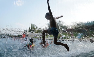 Canicule, illustration