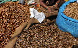 Un vendeur indien des arachides le 16 novembre 2009 à Bangalore