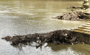 La Garonne toulousaine devrait atteindre son maximum en début de soirée. Archives.
