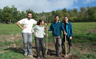 Simon Tarabon, sa sœur et leurs conjoints ont planté une forêt comestible en Haute-Loire.