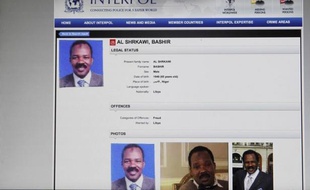 François Fillon a affirmé qu'il n'y avait "aucune trace d'un mandat international" visant Bachir Saleh et que l'ex-dignitaire libyen était protégé par l'immunité diplomatique" grâce à un "passeport diplomatique du Niger".