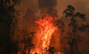 Un incendie à 350 km au nord de Sydney, en Australie, le 9 novembre 2019.