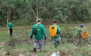 Des forestiers philippins patrouillent dans le parc de La Mesa, seul espace naturel de Manille, avec plus de 50 kilomètres de chemins de randonnée, le 14 février 2015