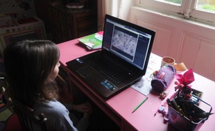 "Comme on ne le voit pas, c'est peut-être un adulte qui nous veut du mal" : du haut de ses dix ans, Juliette assure qu'elle va désormais se méfier des rencontres sur internet.