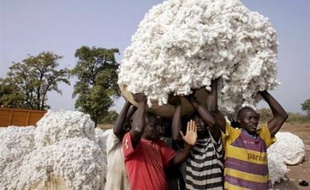 Avec le Mali, le Burkina Faso et le Tchad, le Bénin se bat à l'OMC depuis 2003 pour que les Etats industrialisés producteurs de coton, surtout les Etats-Unis, suppriment les subventions aux exportations et diminuent les soutiens directs à leurs agriculteurs.