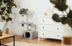 Un nouveau territoire pour moins de 35 euros avec cet arbre à chat