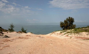 La police a annoncé jeudi avoir arrêté près de Tuléar (sud-ouest de Madagascar) deux Malgaches qui ont avoué le meurtre d'un couple de Français, retrouvés morts la semaine dernière après s'être rendus sur une plage déconseillée par les habitants.