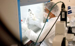 Un scientifique travaille sur un programme de recherche, pour tenter d'établir un vaccin contre le Sida, à Strasbourg le 4 novembre 2003