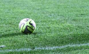 Un entraîneur de Ligue 1, futur ministre des Sports de Marine Le Pen? C'est possible selon le FN.