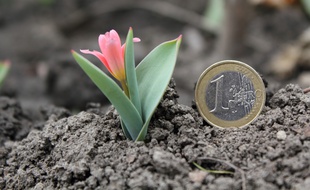 Avec Collecticity, les élus empruntent de l'argent auprès des citoyens pour financer des projets.