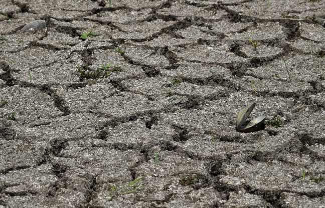 Sécheresse: Arroser les terrains, laver les véhicules, activer les fontaines... C'est interdit dans 26 départements