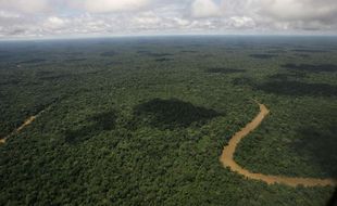 Vue aérienne du parc national Yasuni, en Equateur.
