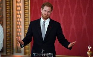 Le prince Harry est désormais rétrogradé au même rang que trente autres ducs britanniques.