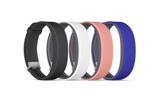 Le SmartBand 2 sera disponible en septembre en quatre couleurs.
