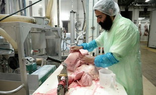 Un homme contrôle les poumons d'un bovin dans le cadre du processus d'abattage casher dans un abattoir à Haguenau, le 21 juillet 2016