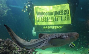 Les écologistes australiens veulent mener une campagne nationale contre l'industrie du charbon, qui est un des moteurs de l'économie du pays, une initiative qui a provoqué mardi les foudres du gouvernement.