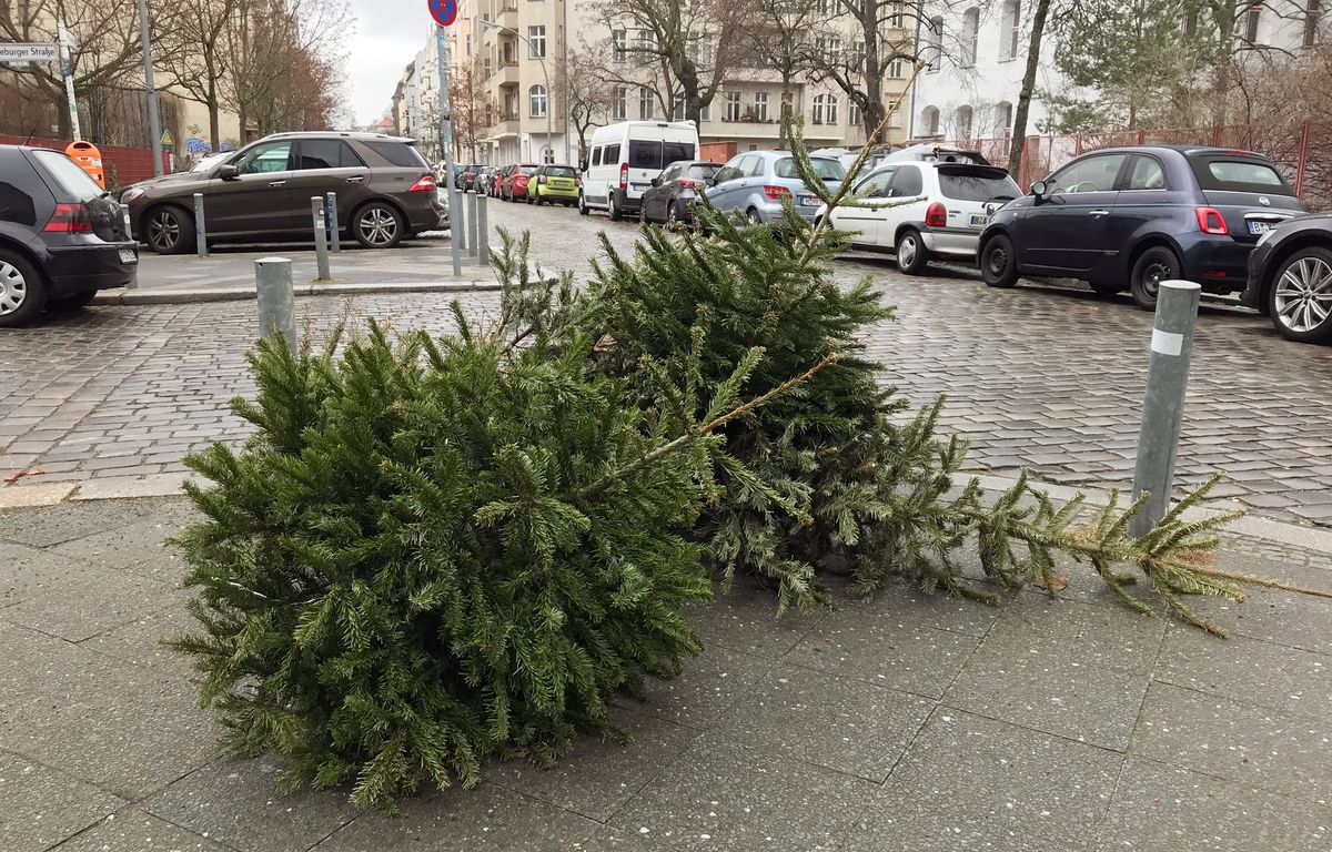 Paris : jeter son sapin sur la voie publique peut coûter cher - Le Parisien