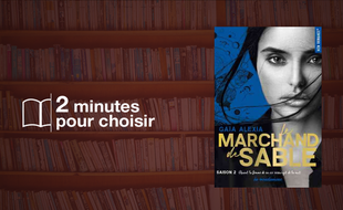 Le Marchand de Sable - T2