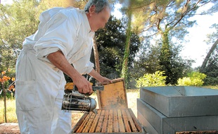 Le volume de production annuel avoisine les 100 tonnes. (Illustration)