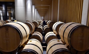 Les caves du Château Pedesclaux, à Pauillac, dans le Médoc.