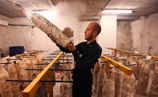Maxime Quemin avec ses champignons de Marseille