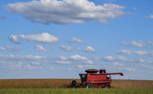 Les agriculteurs européens craignent l'accord UE-Mercosur. Ici, un champ de maïs au Brésil.