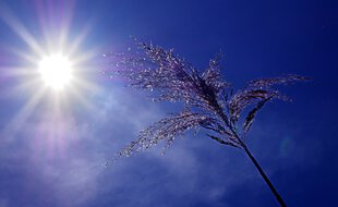 La chaleur de ces derniers jours ne va faire qu'empirer
