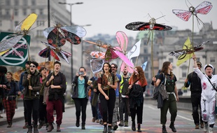 Des activistes du groupe Extinction Rebellion brandissent des reproductions d'insectes, le 16 avril 2019 à Londres.