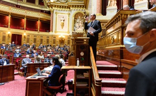 Les sénateurs examineront jeudi 21 janvier 2021 le texte visant à punir toute relation sexuelle entre un majeur et un mineur de 13 ans ou moins.