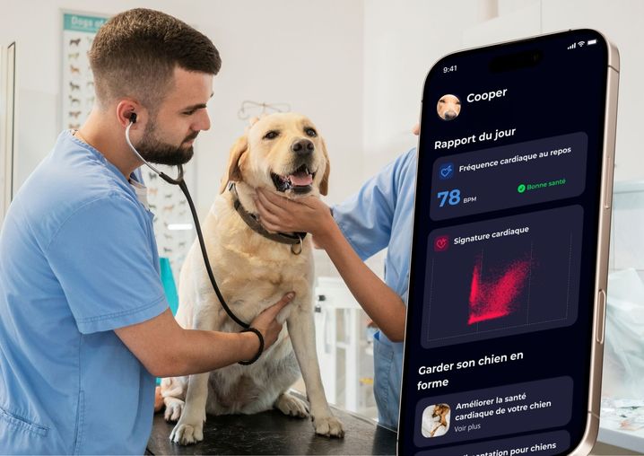 Localisation, activité, santé… Un tracker GPS pour chien veut prévenir pour mieux guérir