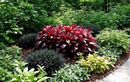 Comment ces 4 plantes vivaces peu répandues transforment-elles un coin d’ombre en havre luxuriant juste avant l’automne ?