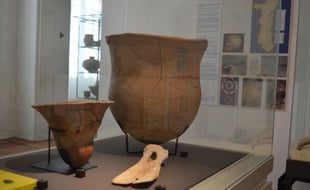 Cette sorte de pelle réalisée à partir d'un os est aussi une pièce à haute valeur de l'exposition.