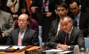 L'ambassadeur chinois aux Nations Unies Liu Jieyi (G) et l'ambassadeur français Gerard Araud (D) lors d'une réunion du conseil de sécurité sur l'Ukraine le 13 mars 2014 à New York