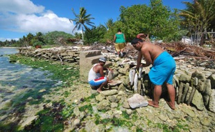 Photo non datée d'habitants de l’île Christmas (aussi appelée Kiritimati) de la République des Kiribati édifiant un mur de pierre pour se protéger de la montée des eaux