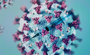 Représentation du coronavirus. (Illustration)