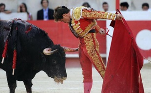 Le Conseil constitutionnel doit décider si la tauromachie est compatible avec la loi, et donc si elle doit être ou non interdite, comme le réclament les anticorrida qui accusent François Hollande d'être favorable à ce spectacle traditionnel sous couvert de neutralité.