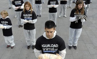 Des militants réclamant l'égalité de droits pour les animaux posent avec des cadavres d'animaux à Madrid, Espagne, le 11 décembre 2010.