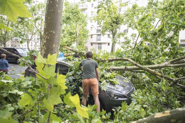Près d'un milier d'arbres ont été touchés à Paris lors des orages du 26 juin.
