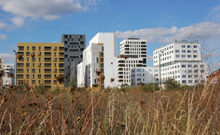 Illustration d'immeubles ici dans le quartier de Baud Chardonnet, à Rennes.