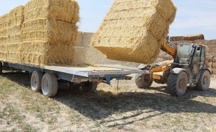 La remorque de ballots de paille s'est renversée sur l'agriculteur, qui n'a pas pu être secouru.