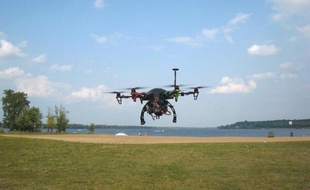 Rien ne va plus entre les oies du Canada et la capitale Ottawa qui a lancé une campagne à l'aide de drones pour les éloigner d'une de ses plages les plus populaires, polluée par les fientes.