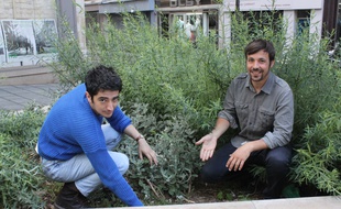 Jonas Obadia et Hugo Meunier pour «Merci Raymond», dans le cadre du permis végétaliser Paris, souhaitent installer un potager rue d'Aboukir dans le 2e arrondissement.