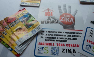 Des tracts et es affiches de prévention contre le virus Zika sont présentés à Petit-Bourg en Guadeloupe le 4 mars 2016