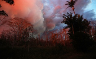 La lave du volcan Kilauea illumine les arbres à Hawaï, le 26 mai 2018.