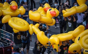 Les manifestants pro-démocratie en Thaïlande ont choisit le canard gonflable comme symbole de protestation.