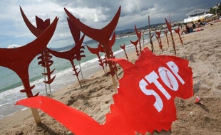 La Commission européenne a annoncé lundi qu'elle mettrait tout en oeuvre pour protéger le stock de thon rouge et veillera à ce que le plan de pêche décidé pour 2013 soit strictement respecté.