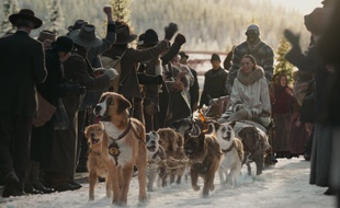 L'Appel de la Forêt, adaptation du roman culte de Jack London, raconte l'histoire de Buck devenu chien de traîneau en Alaska.